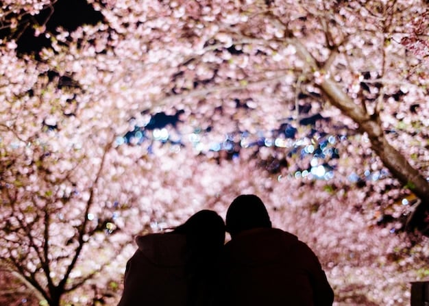 Decoding Korean Drama Kiss Scenes: A 2025 Cultural Guide