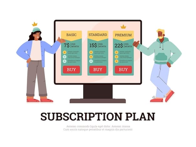 A pricing chart comparing Viki Pass Standard and Viki Pass Plus subscriptions, clearly showing the features and bundled content for each tier, and highlighting any promotional discounts or yearly pricing options.