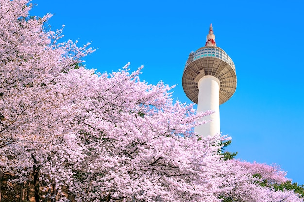 Korean Drama Filming Locations: Your 2025 Trip Guide to South Korea
