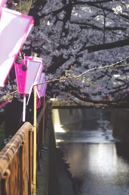 A picturesque scene of the Meguro River in Tokyo, Japan, during cherry blossom season, subtly referencing its appearance in a popular Japanese drama.
