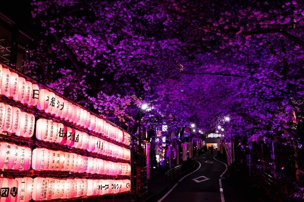 A wide shot of a Japanese cityscape at night, with neon lights illuminating the streets. The scene is bustling with activity, symbolizing the dynamic nature of Japanese society.