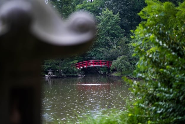 A serene, traditional Japanese garden with a red bridge over a koi pond, reminiscent of a peaceful setting often seen in romantic or contemplative drama scenes.