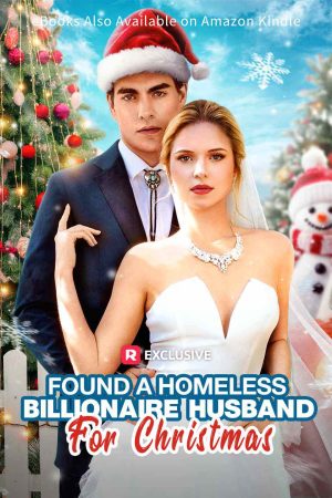 Found A Homeless Billionaire Husband for Christmas reward